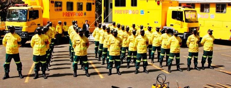 Brigadistas reunidos em fila