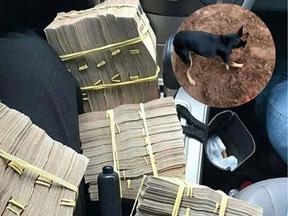 Montagem com foto de bolos de dinheiro encontrados durante operação. Na imagem, há um círculo com cachorro cavando buraco em detalhe