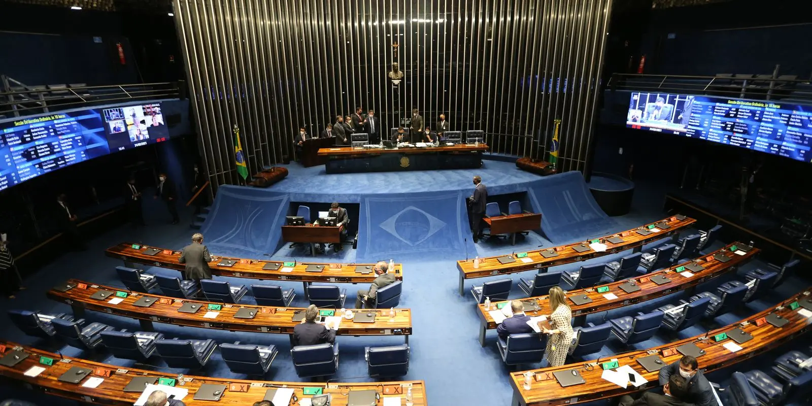 Senado federal