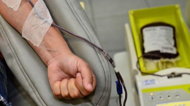 doação de sangue/ hemoce