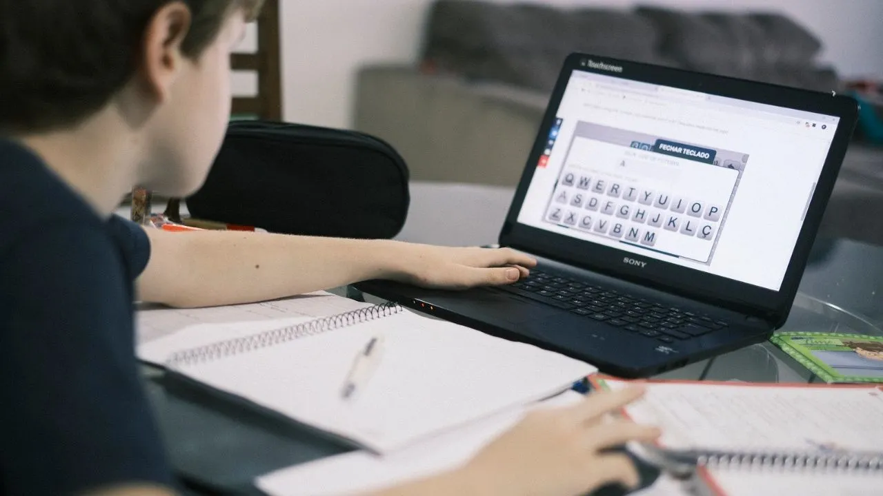 Segundo a professora Eloísa Vidal, a modalidade de ensino à distância facilita o acesso, especialmente da população do interior, à educação de nível de graduação.