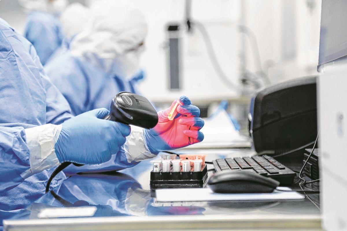 amostras analisas em laboratório