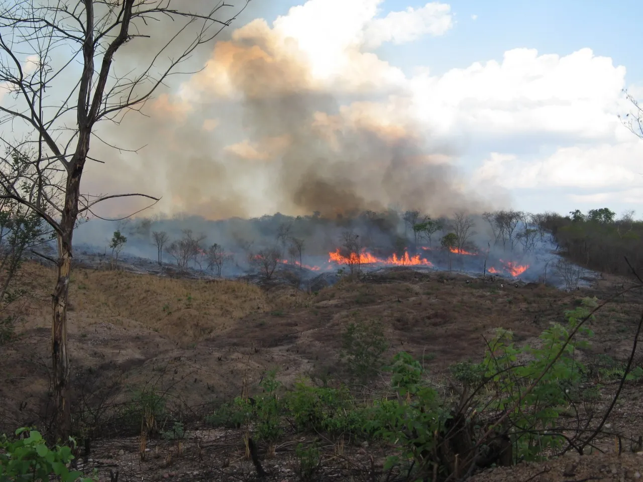 Segundo o Corpo de Bombeiros, cerca de 90% dos incêndios é causada pela ação do homem