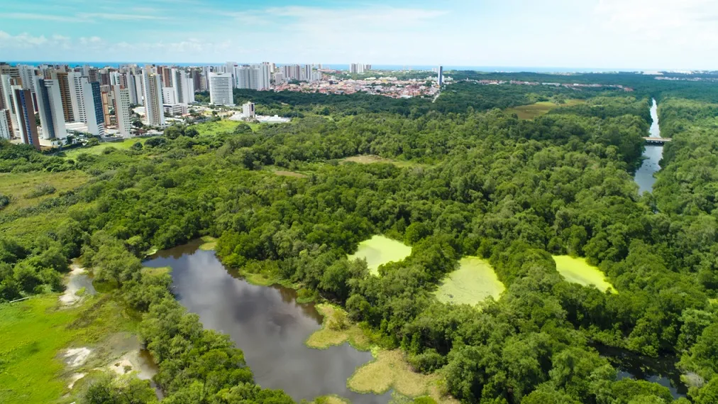 Parque do Cocó contribui para mediar o clima de Fortaleza. O Ceará conta com onze categorias de coberturas vegetais, a maioria delas que podem ser consideradas florestas.