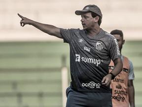 Fernando Diniz conversa em treino do Santos