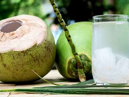 O processamento não térmico dispensa o uso de conservantes adicionais para estender a vida útil da água de coco