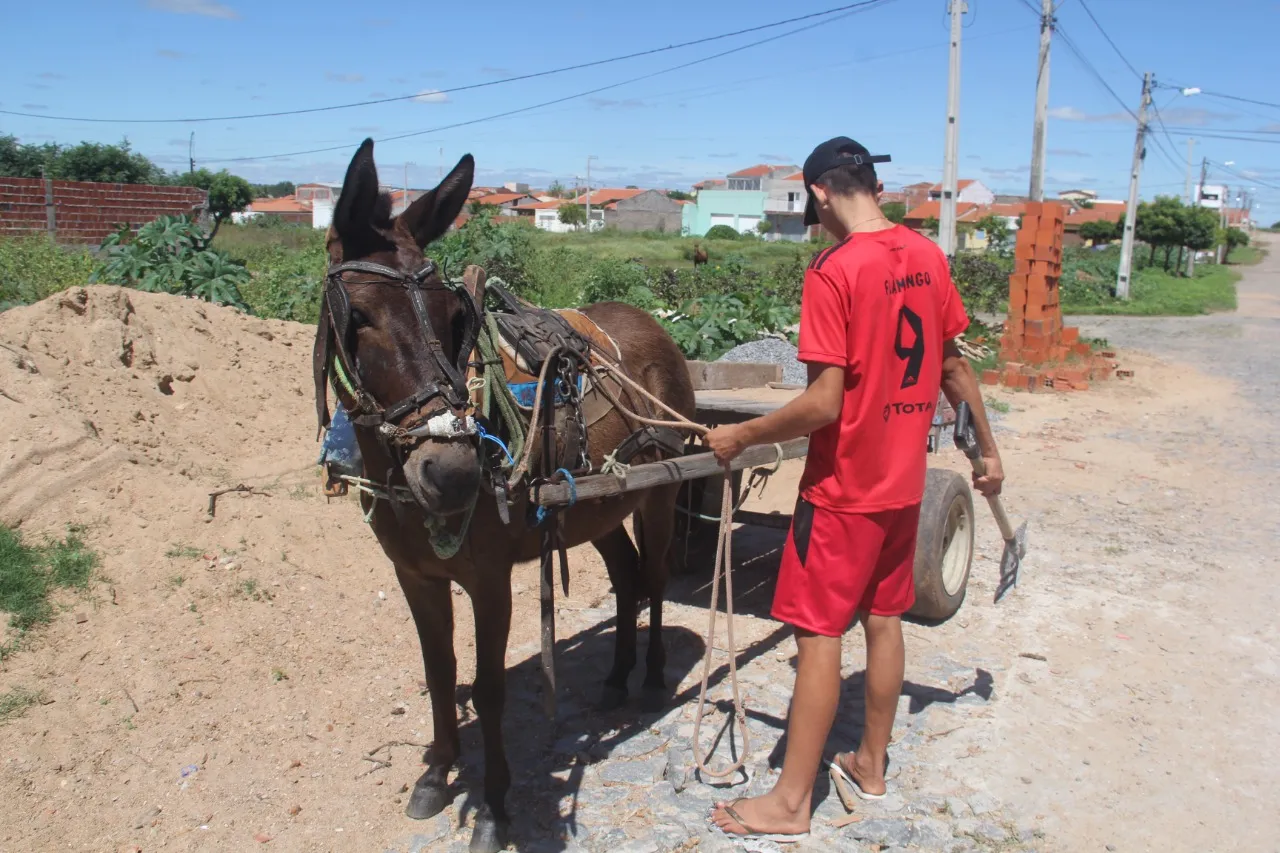 Sem aula, jovens preenchem tempo vago com trabalho. Legislação proíbe qualquer atividade a jovens abaixo de 16 anos