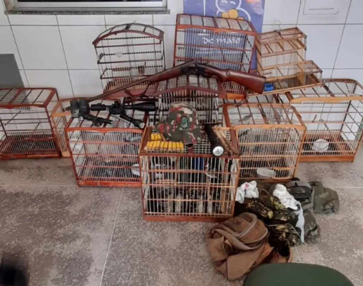 Com a situação do Cetas, os próprios policiais realizam a soltura dos animais apreendidos