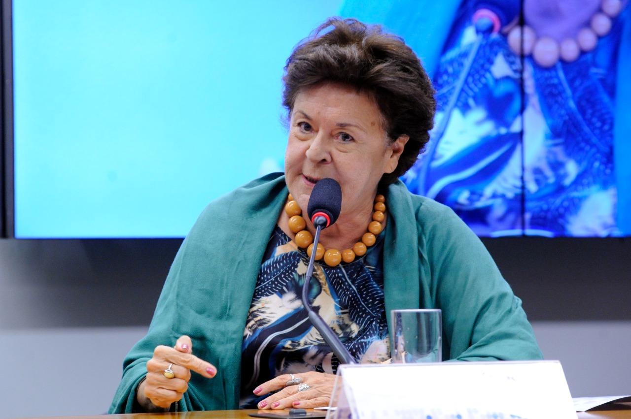 Fernanda Sobral, vice-presidente da Sociedade Brasileira para o Progresso da Ciência (SBPC).