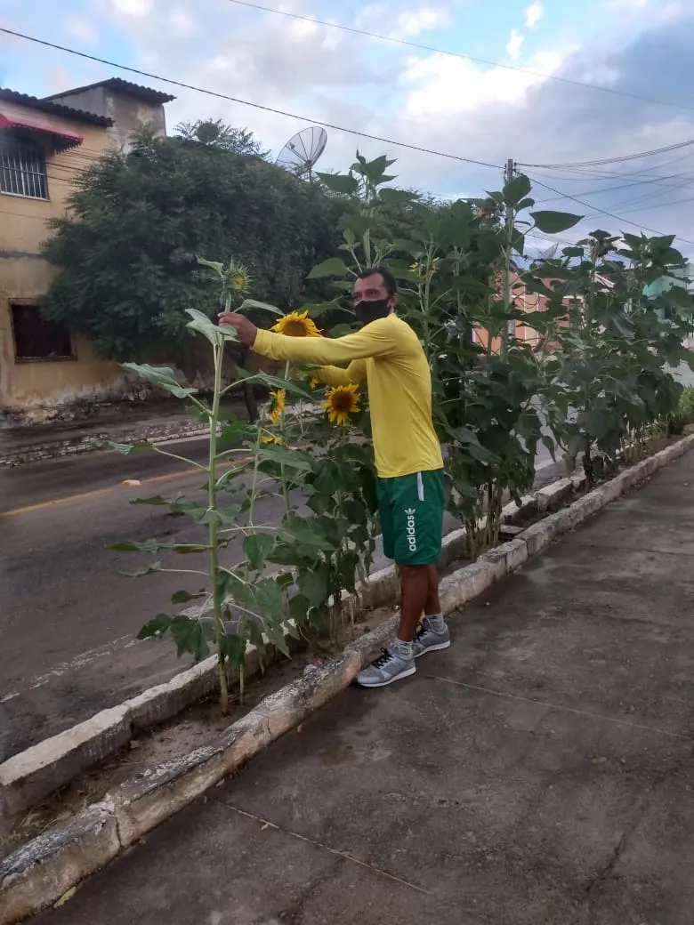O plantio começa a ser feito ainda pela madrugada