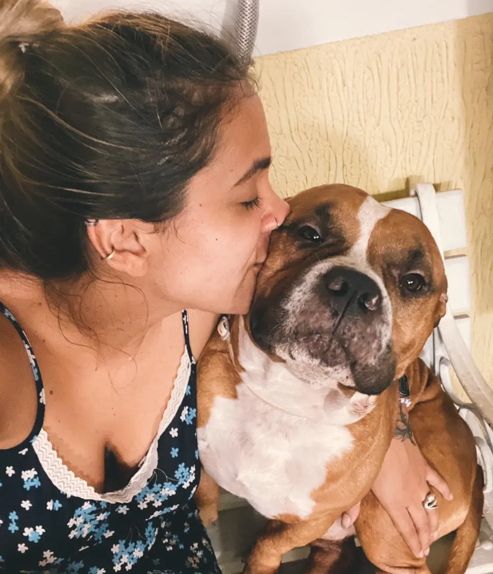 Guarda compartilhada cachorro