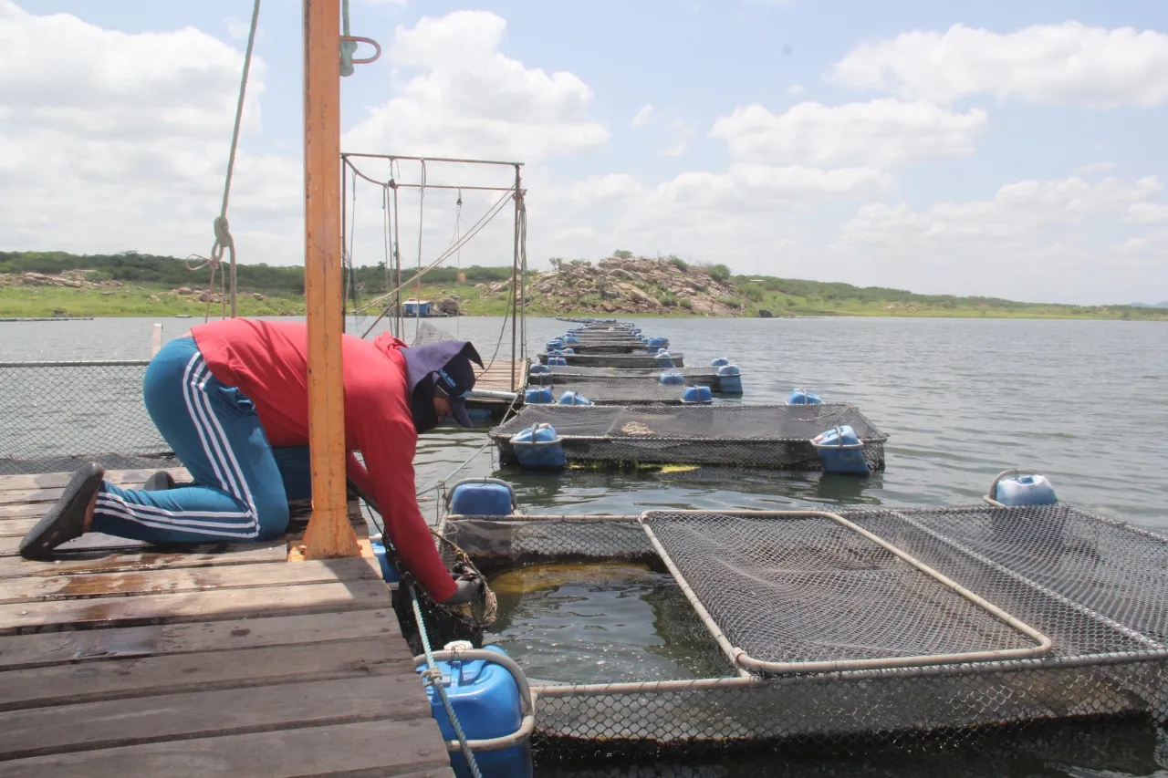 Mesmo com o aporte da Transposição, pescadores afirmam não ser possível expandir a atividade devido ao ainda baixo nível do reservatório