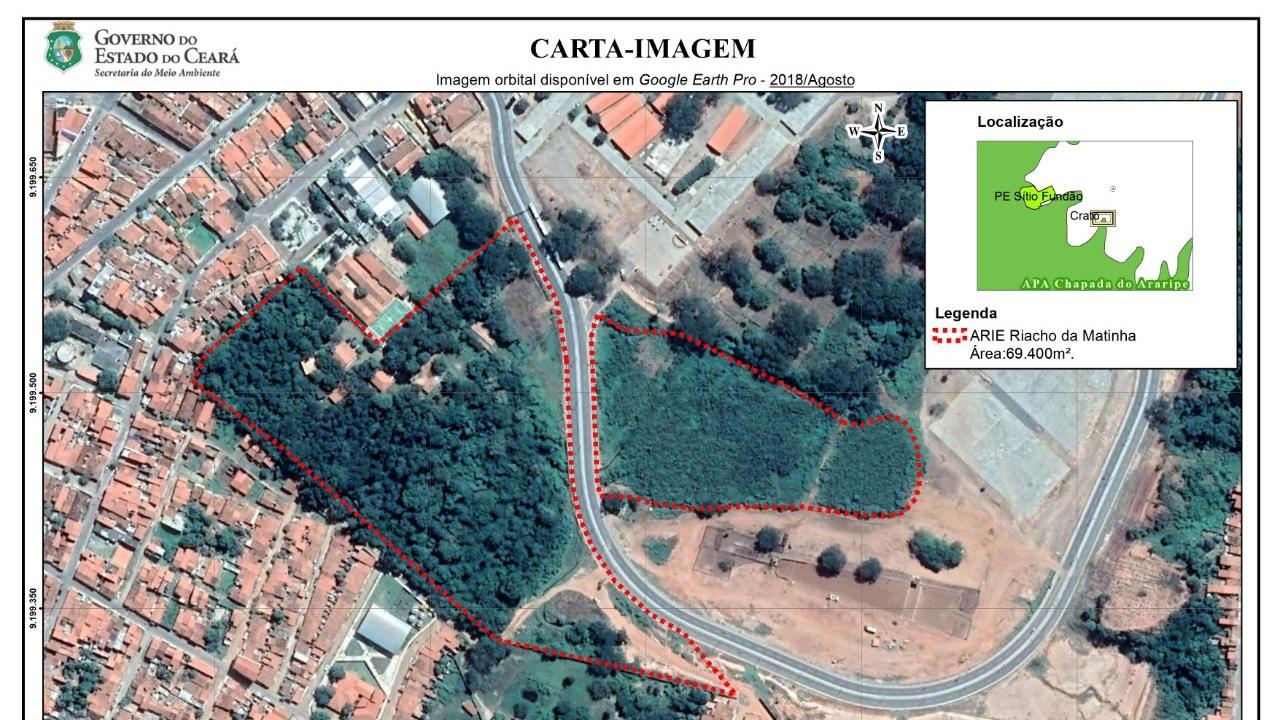 Ataque de abelhas italianas fere homem e mata cavalo e galinhas em Juazeiro  do Norte - Região - Diário do Nordeste