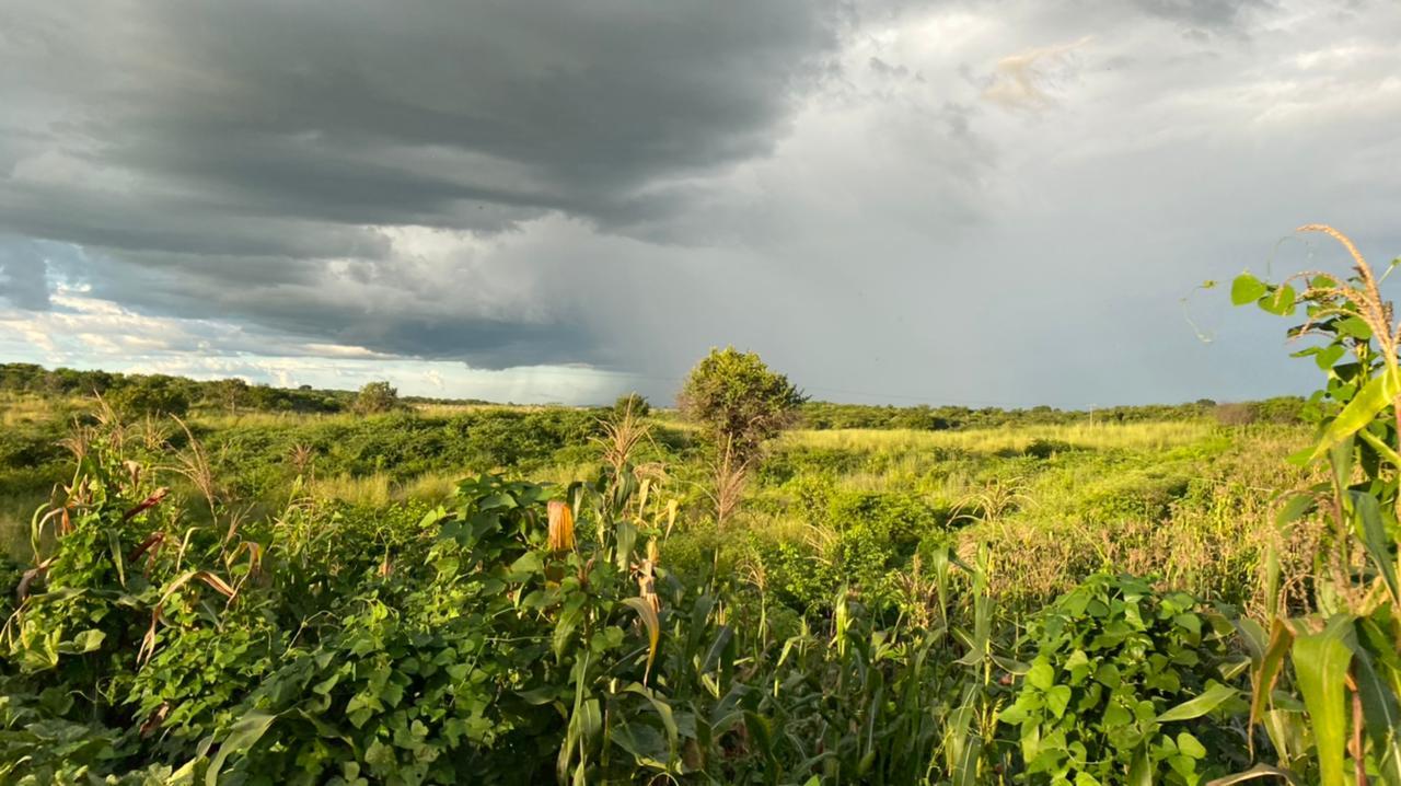 Funceme prevê continuidade de chuvas hoje e amanhã,  mas com acumulados reduzidos