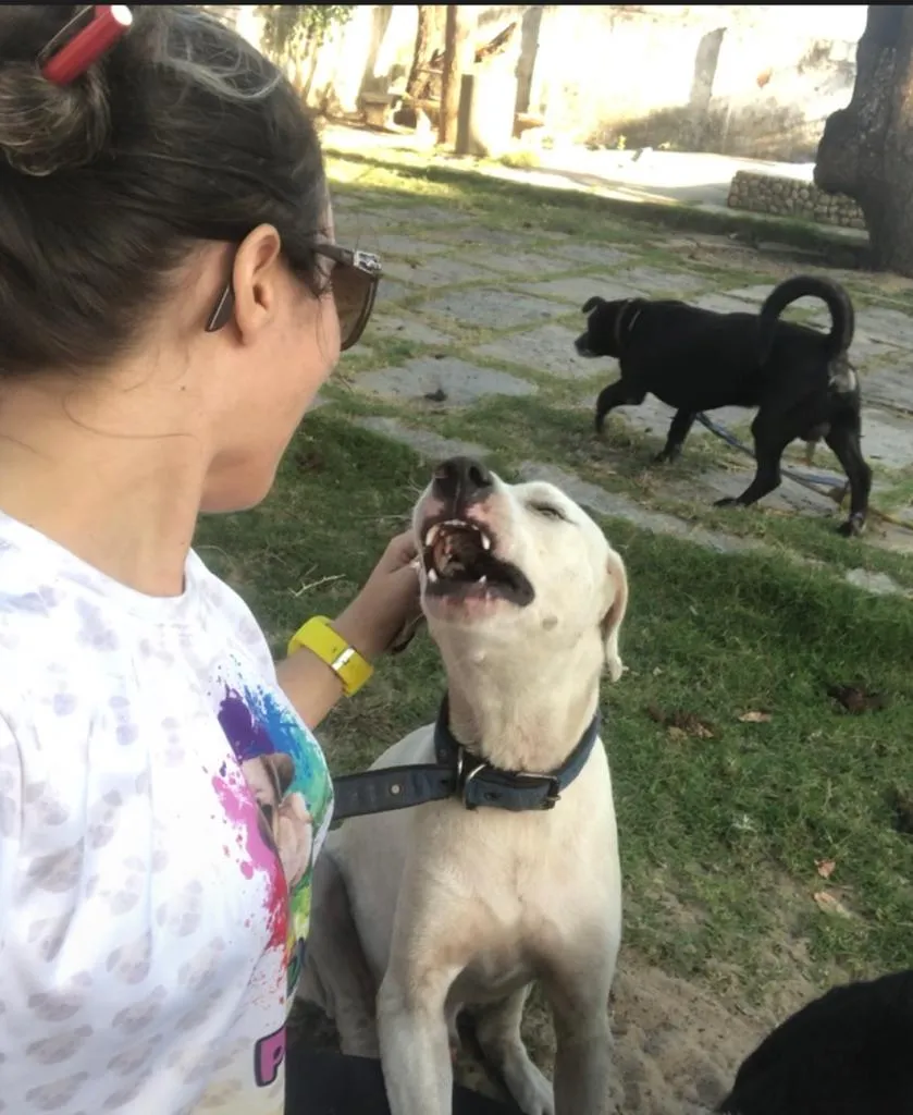 Durante o período de acolhimento, Lindoneide busca reduzir os danos e traumas causados pelos maus-tratos vividos