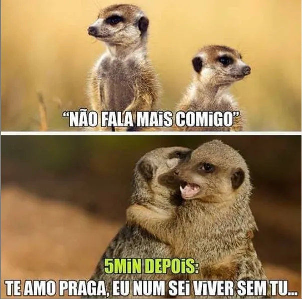 Focado em humor nordestino, a página Suricate Seboso investe em piadas e expressões do Ceará e de outros estados da região