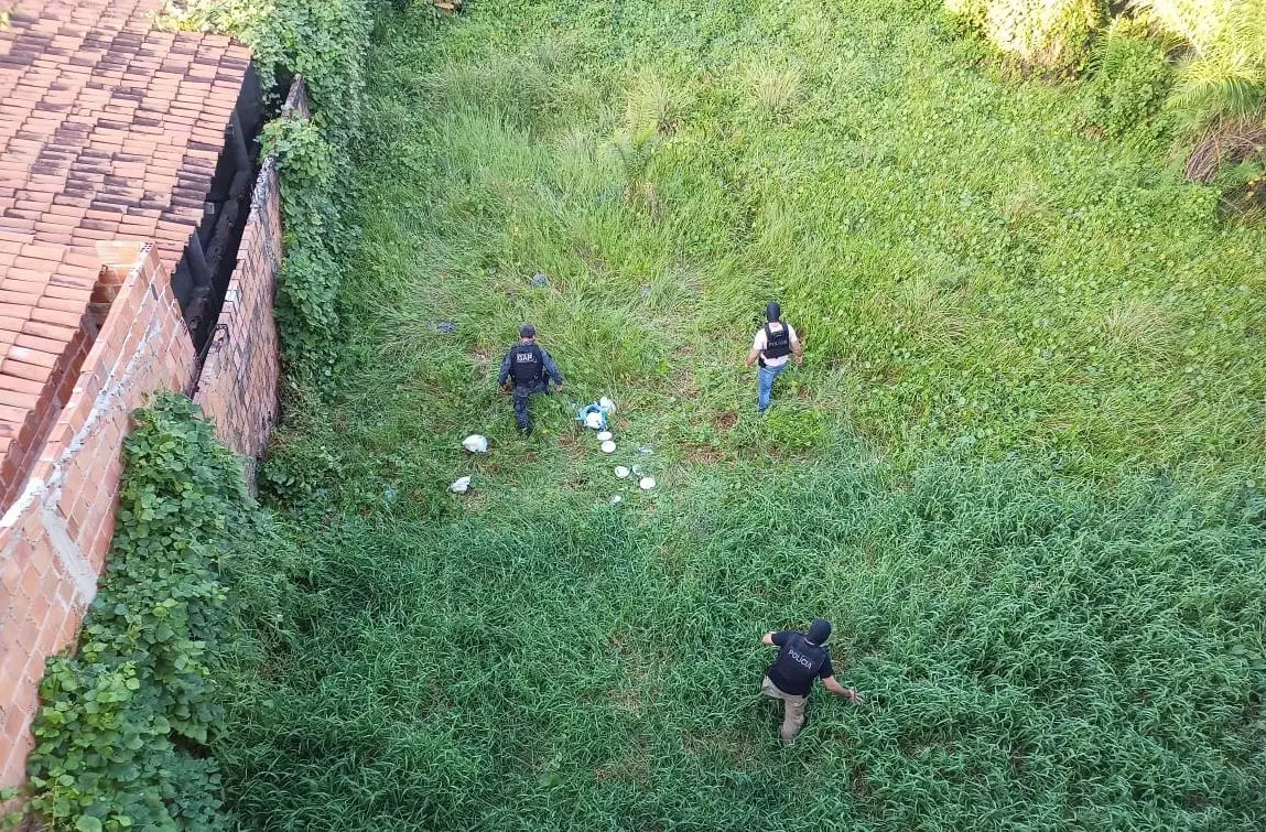 Agentes de forças de segurança em operação em matagal