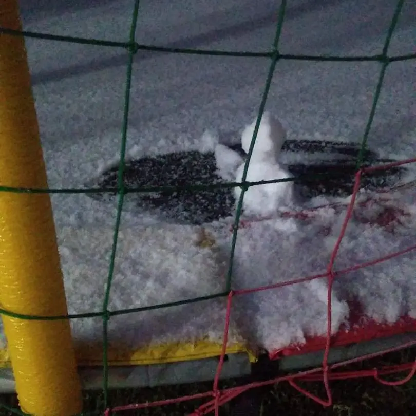 Áreas de lazer também foram afetadas por neve em Gramado