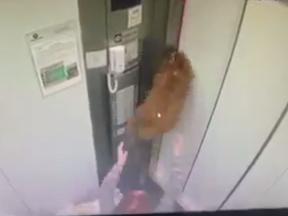 Cachorro preso pela coleira em elevador
