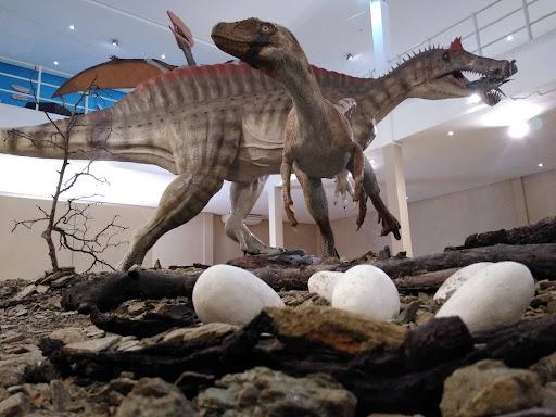 Museu de Paleontologia Plácido Cidade Nuvens, da Universidade Regional do Cariri (Urca)