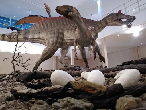 O Museu de Paleontologia Plácido Cidade Nuvens, da Universidade Regional do Cariri (Urca), estava fechado desde o início da pandemia