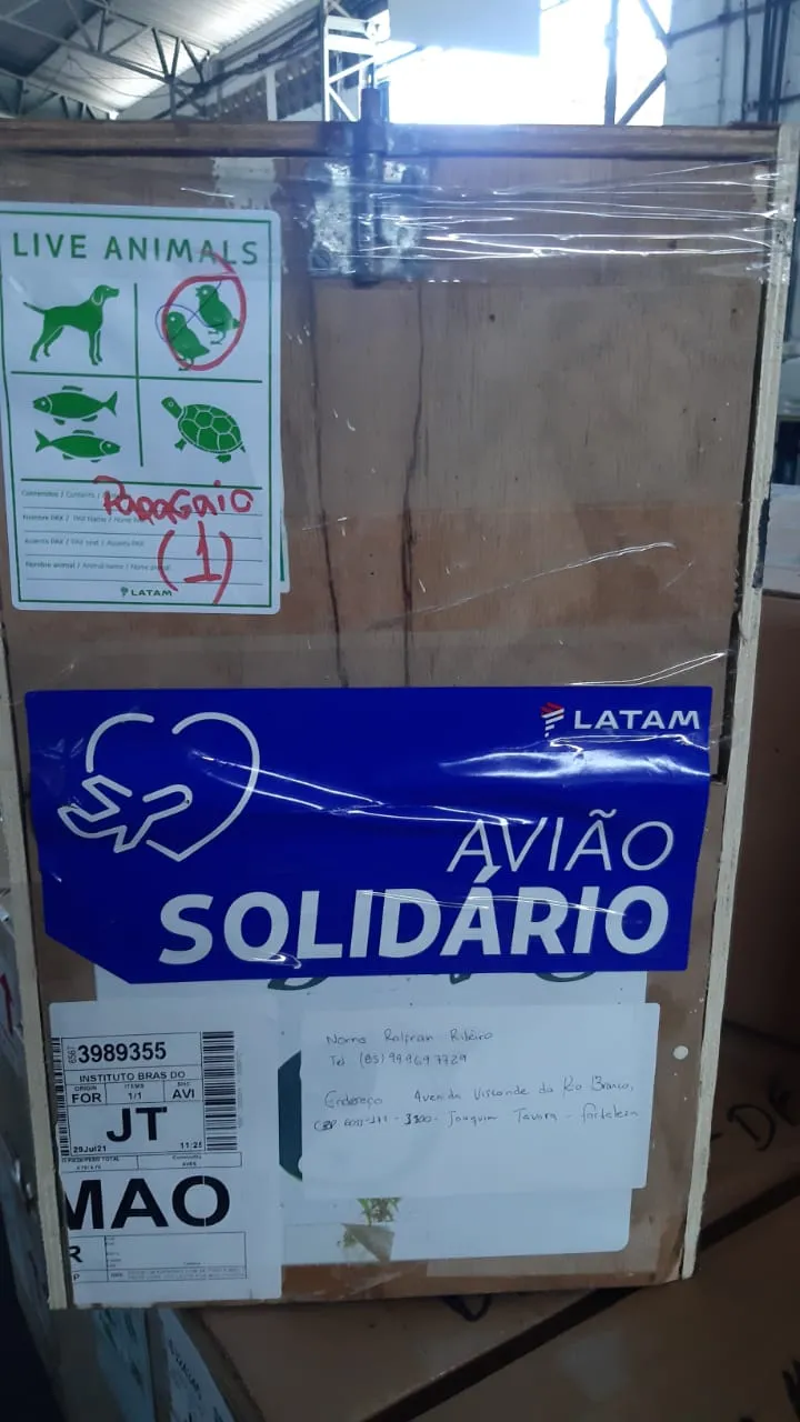 Grupo LATAM realiza o transporte gratuito buscando auxiliar em situações de emergência em saúde, na preservação ambiental e em desastres naturais