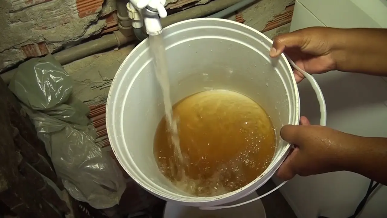 capa da noticia
