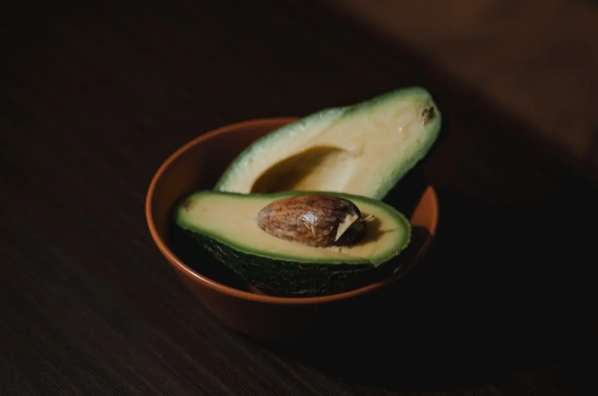abacate em tigela