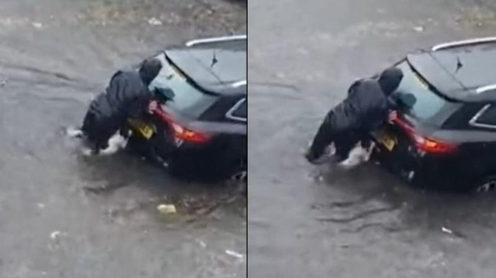 Prints de vídeo onde cachorro tenta ajudar dona a empurrar carro preso na água