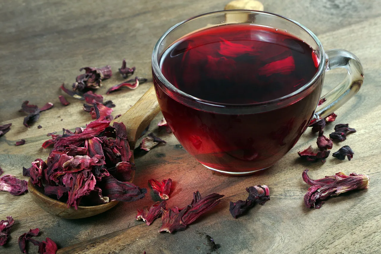 Chá de hibisco é preparado com as flores do Hibiscus sabdariffa.
