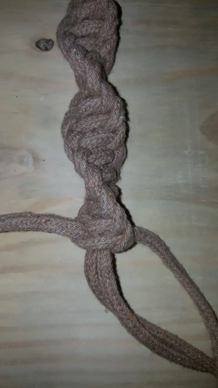 Nó DNA