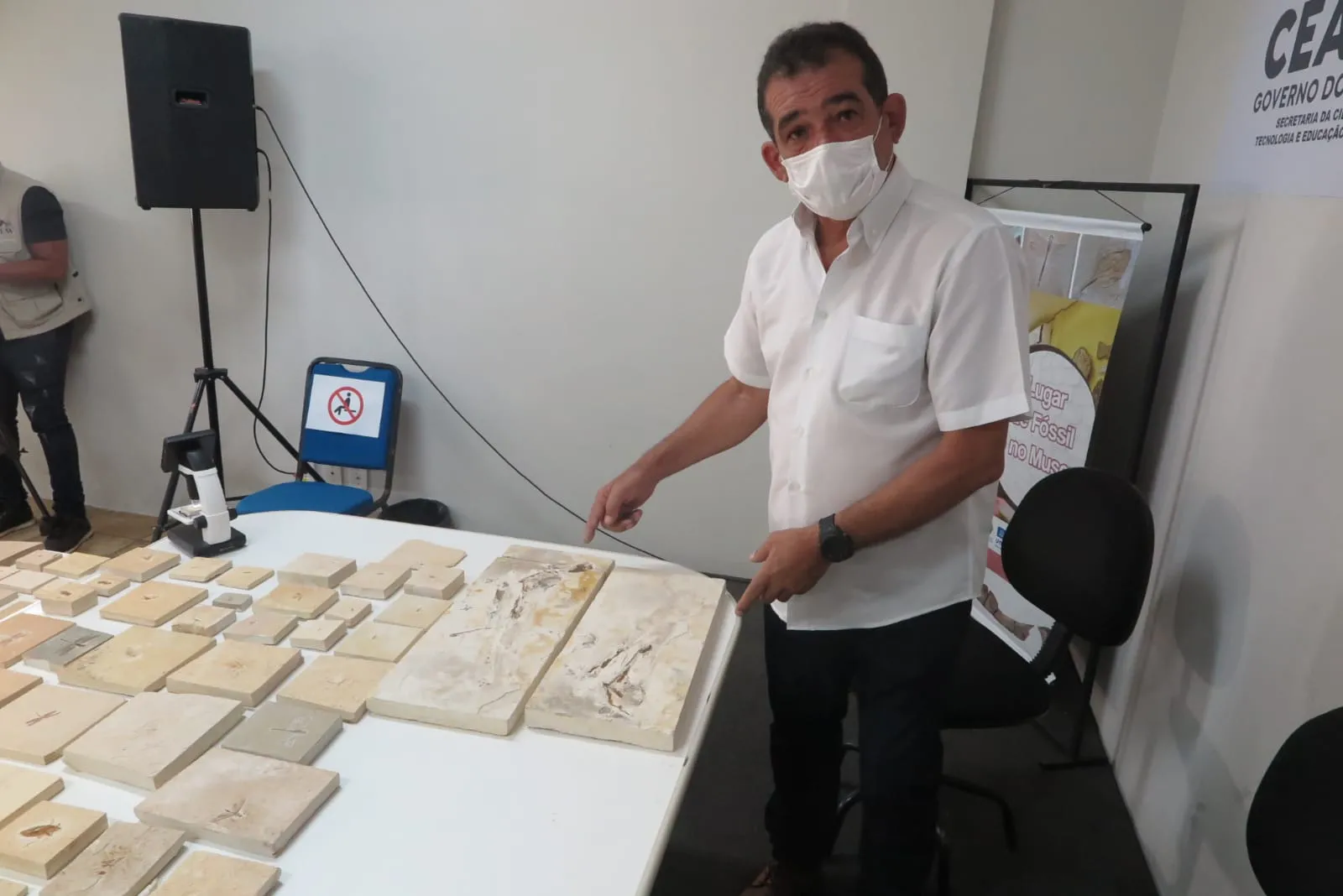 Os fósseis de pterossauros são 