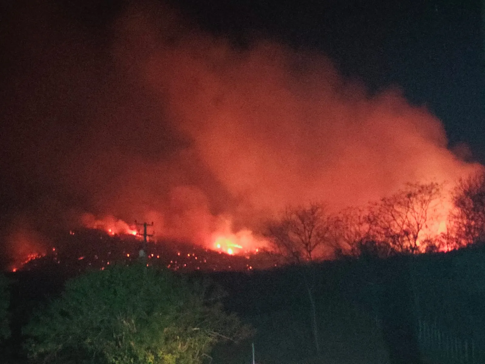 Para o Corpo de Bombeiros do Ceará, mais de 90% são incêndios criminosos, ou seja, fruto da ação humana.