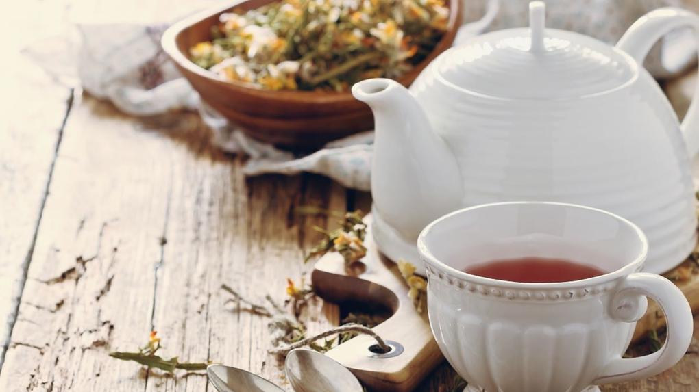 Xícara de chá de carqueja em mesa ao redor de plantas
