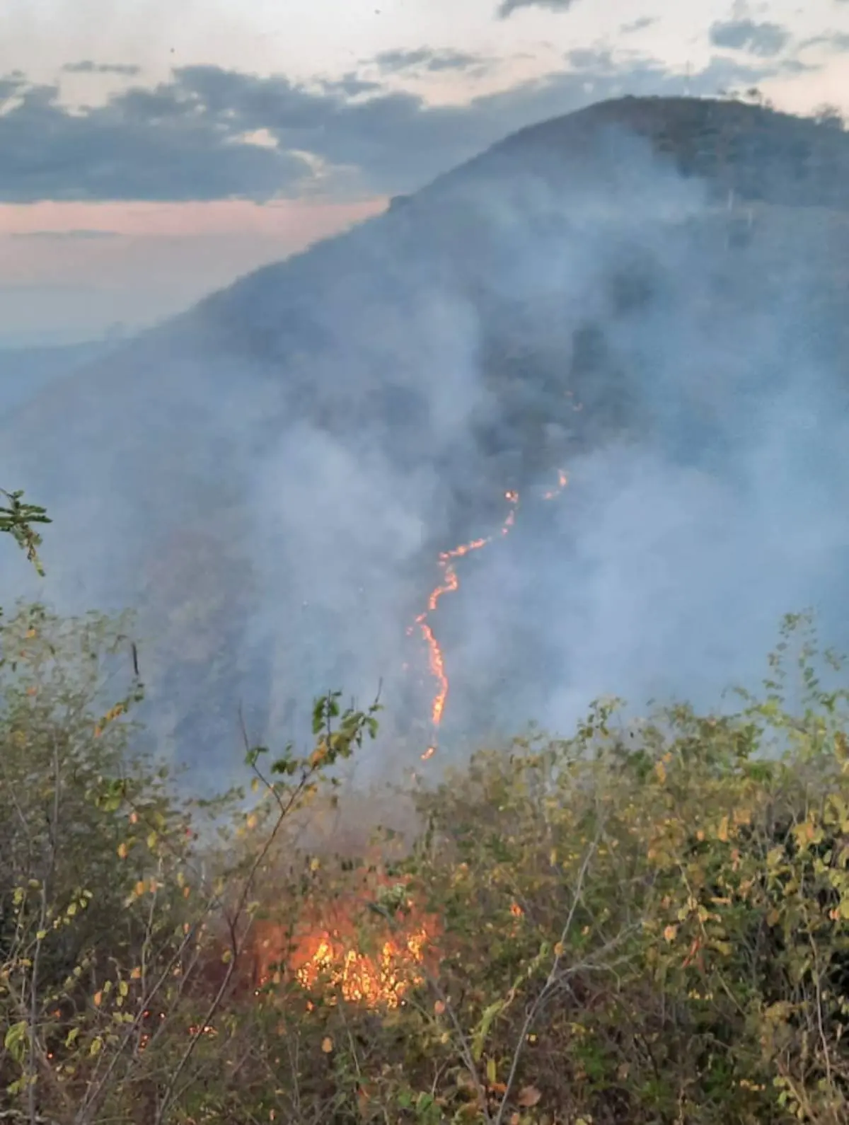 Incêndio em vegetação de Cariús