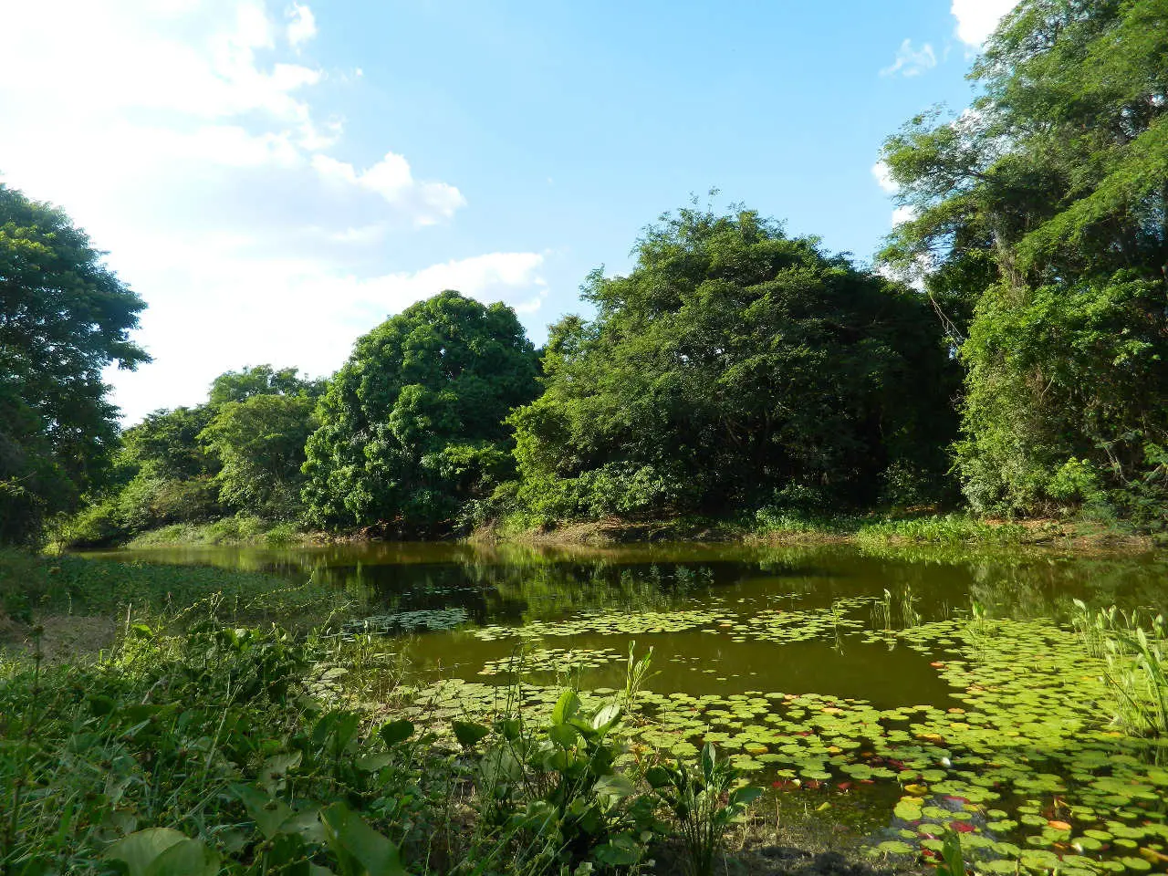 Estação Ecológica (Esec) de Aiuaba