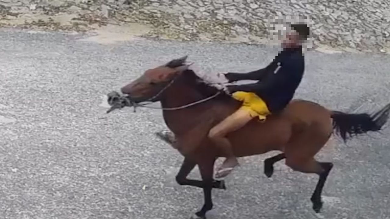 Suspeito de roubo montado a cavalo