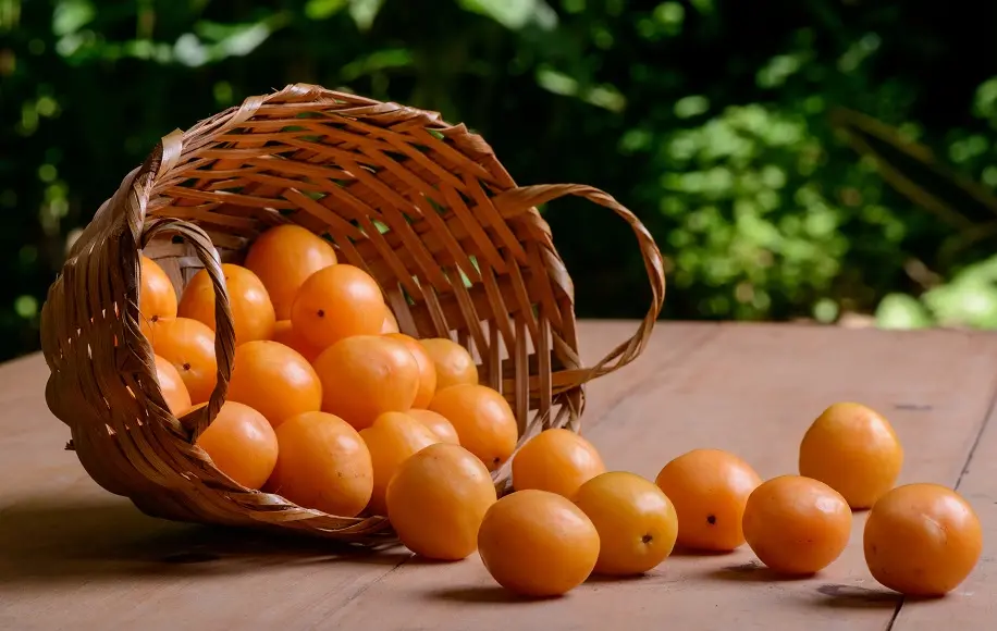 O cajá pode ser consumido na forma natural, ou na forma de sucos, saladas e em sobremesas