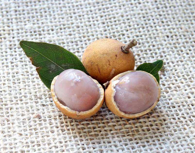 Pitomba: conheça os benefícios e a origem da fruta - Ser Saúde - Diário ...