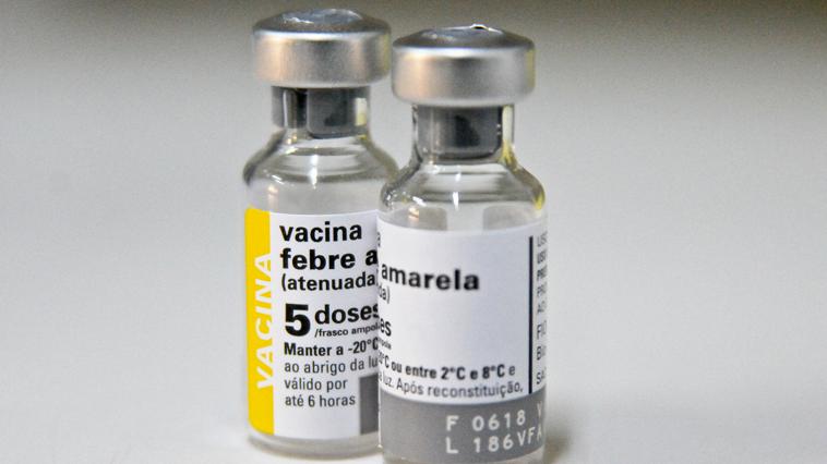 Vacina Febre Amarela no Ceará