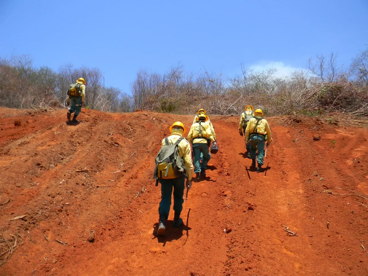 Brigadistas de incêndio