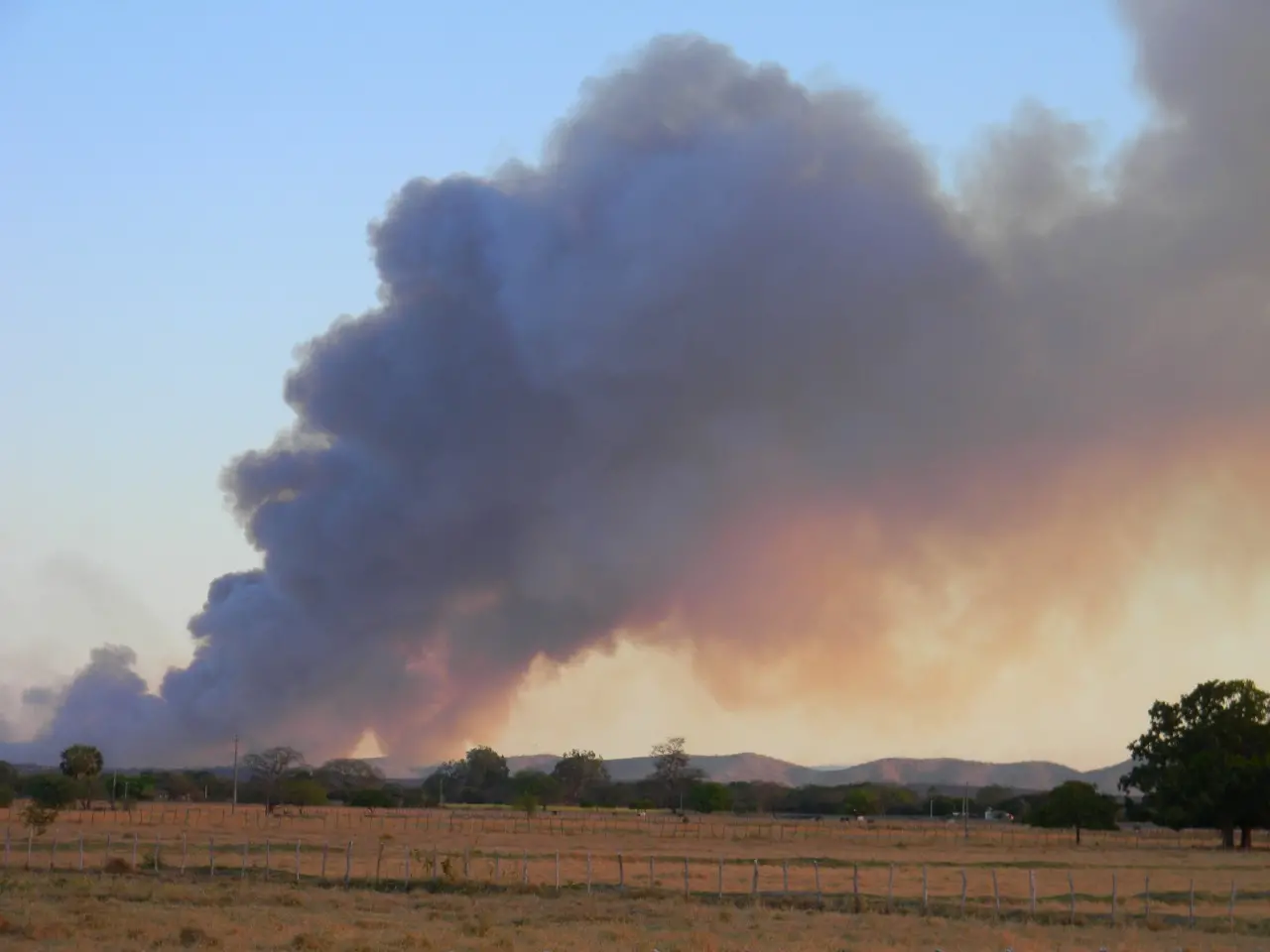 A expectativa do Corpo de Bombeiros é de que aumente o número de focos de incêndios em vegetação no sertão cearense