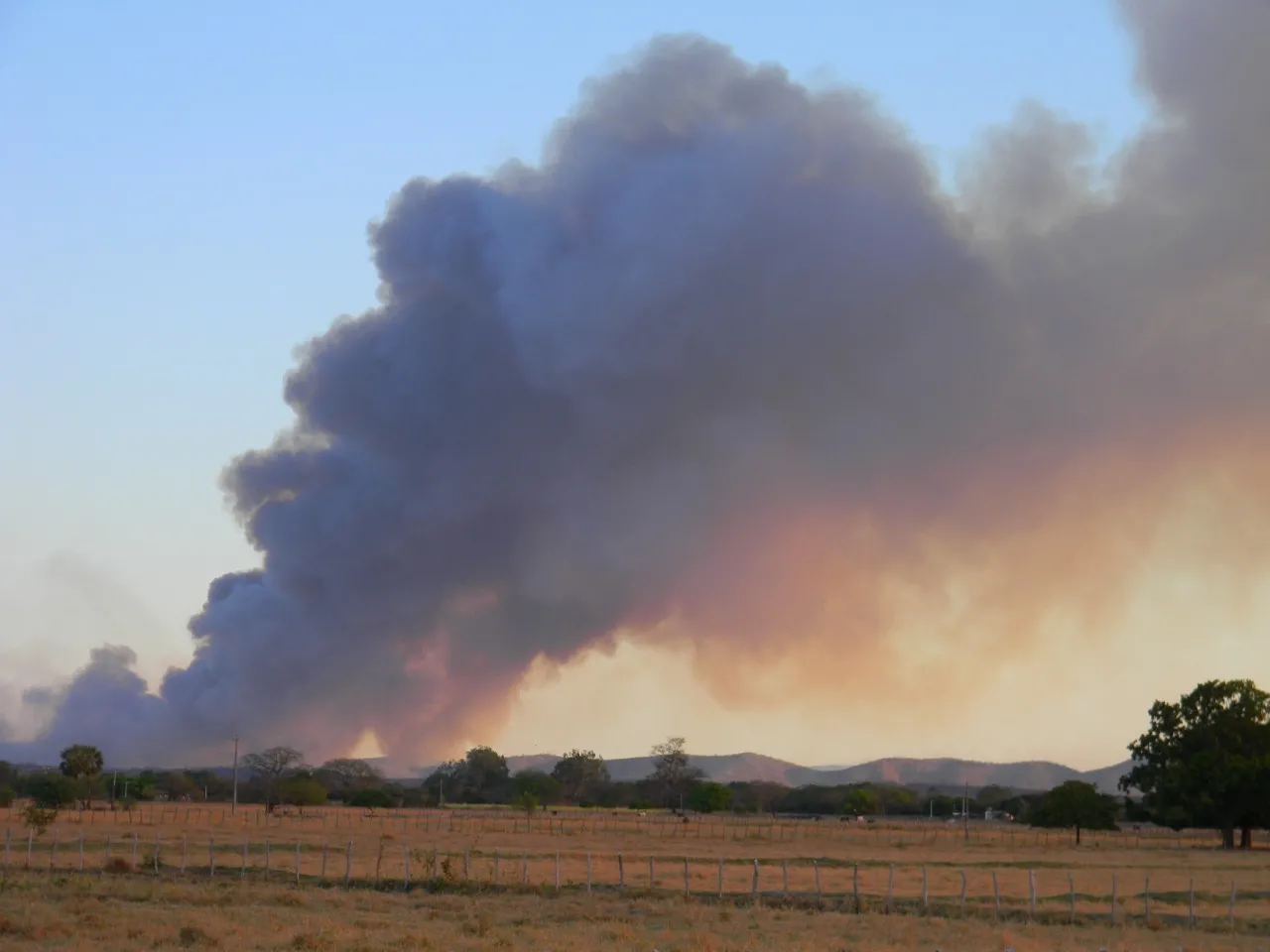 A expectativa do Corpo de Bombeiros é de que aumente o número de focos de incêndios em vegetação no sertão cearense
