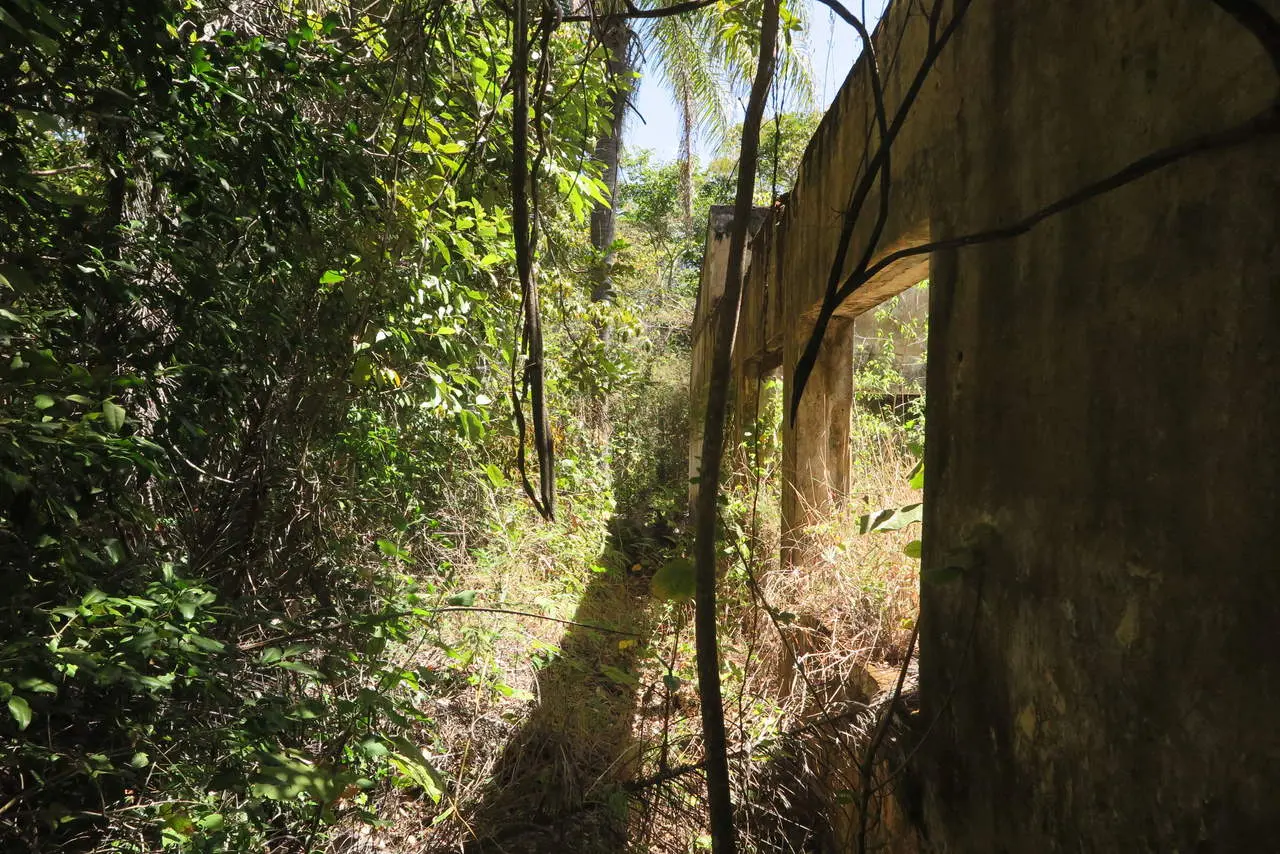 Antigo terminal de passageiros hoje é coberto pela vegetação