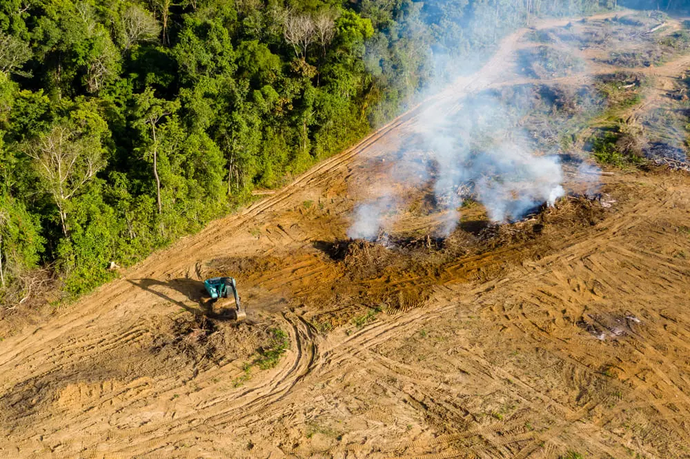 área desmatada na amazonia