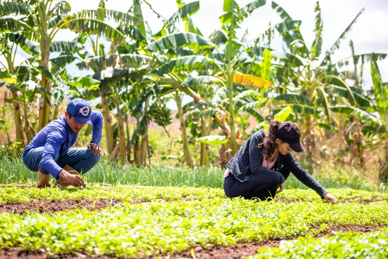 GEILZA BENTO E RAIMUNDO DO MONTE