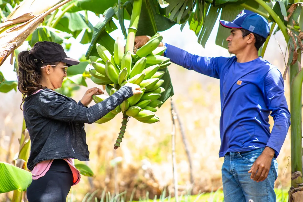 Geilza Bento e Edmilson da Silva têm em comum o sonho de viver da atividade agrícola orgânica e irrigada