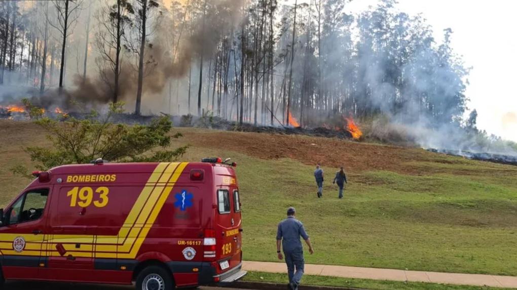 Incêndio em área onde avião caiu em Piracicaba