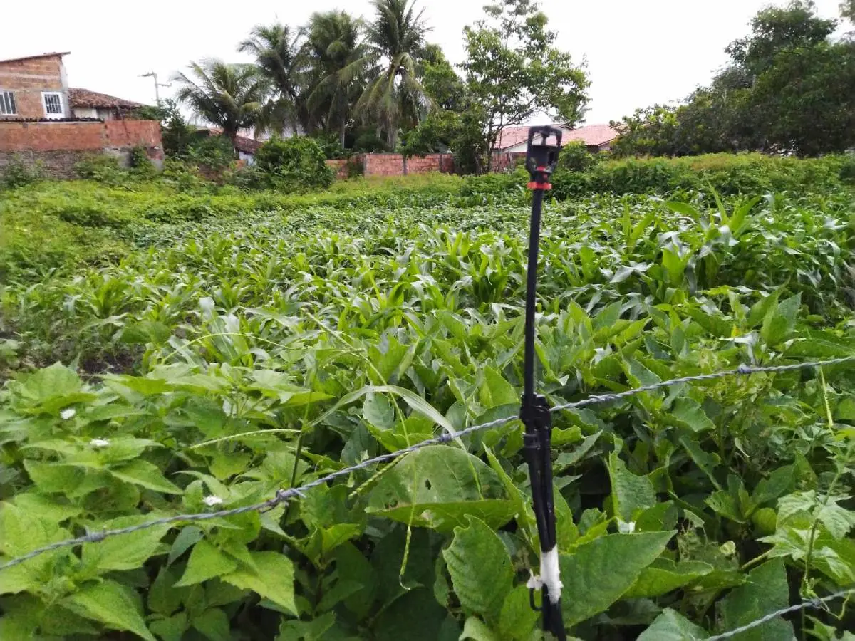 Sistema alternativo de irrigação em Granja