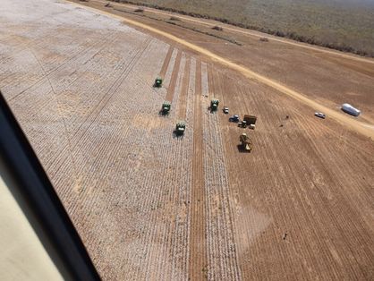 vista de cima de campo de algodão com tratores fazendo colheita